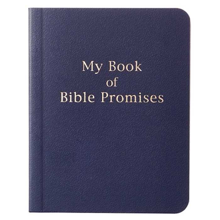 My Book Of Bible Promises-Blue (3
