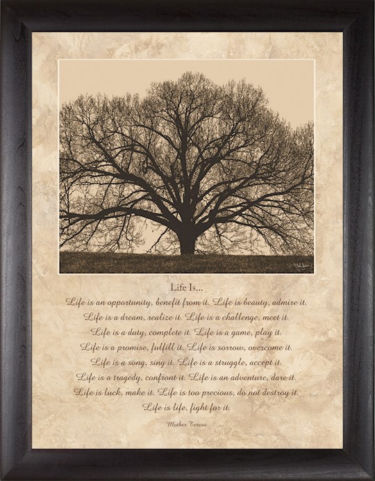 Framed Art-Life Is (12 x 16) | SHOPtheWORD