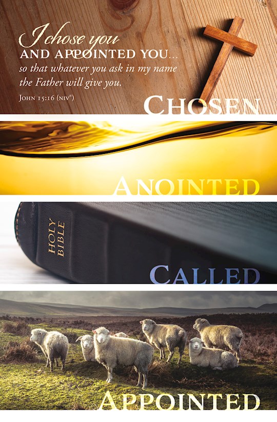 Bulletin-I Chose You And Appointed You....(John 15:16, NIV) (Pack Of 100) | SHOPtheWORD