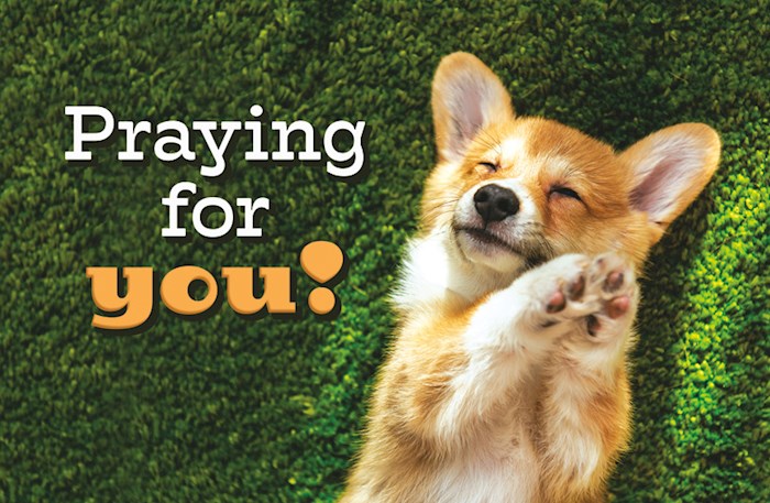 Postcard-We Are Praying For You (Philemon 1:4, NIV) (Pack Of 25) | SHOPtheWORD