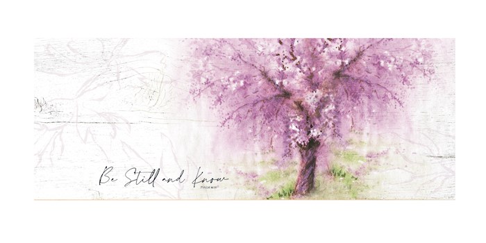 Plaque-New Horizons-Be Still And Know (6