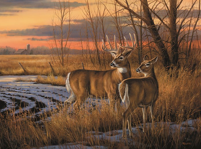 Jigsaw Puzzle-Daybreak (1000 Pieces) | SHOPtheWORD