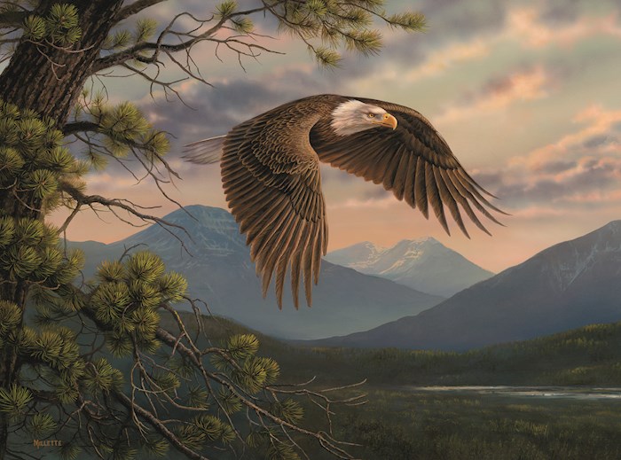 Jigsaw Puzzle-Majestic Moment (1000 Pieces) | SHOPtheWORD