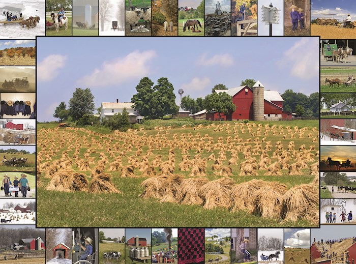 Jigsaw Puzzle-Golden Grain (1000 Pieces) | SHOPtheWORD