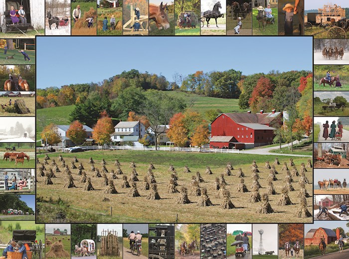 Jigsaw Puzzle-Harvest Season (1000 Pieces) | SHOPtheWORD