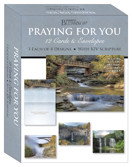 Card-Boxed-Shared Blessings-Praying For You-Waterfalls (Box Of 12) | SHOPtheWORD