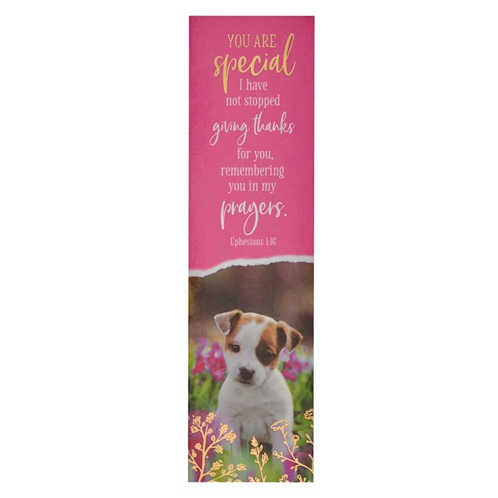 Bookmark-You Are Special Pink Eph 1:16 (Pack Of 10) | SHOPtheWORD