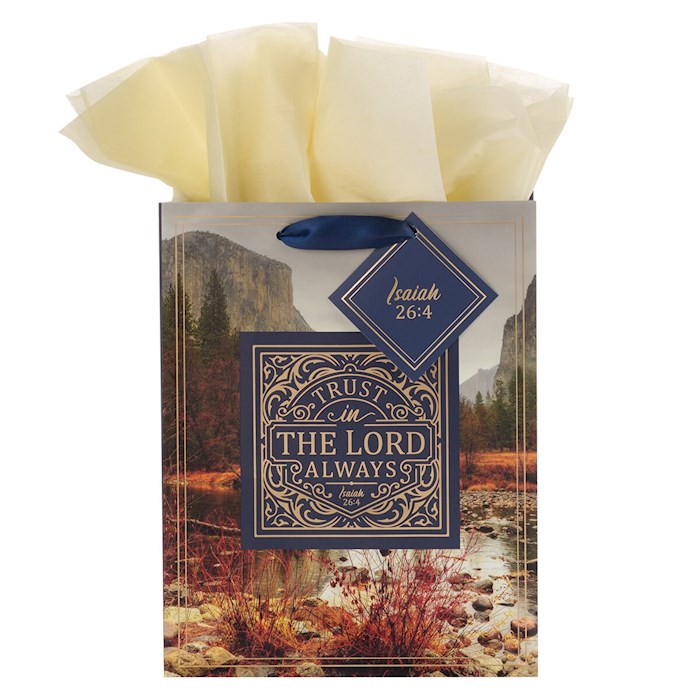 Gift Bag Medium Rejoice In The Lord Phil. 4:4 | SHOPtheWORD