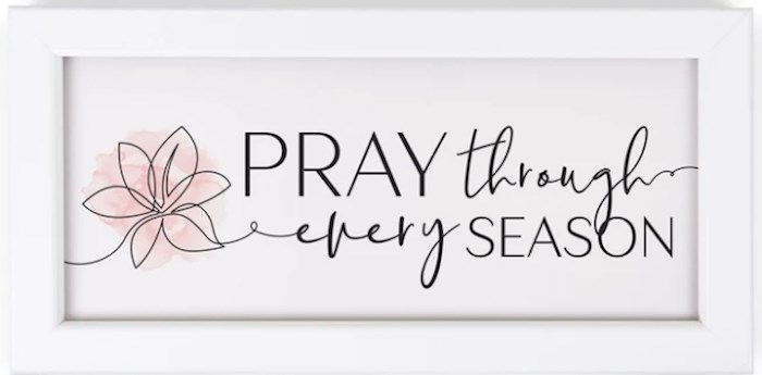Wall Decor-Pen & Ink-Pray Through (19.25