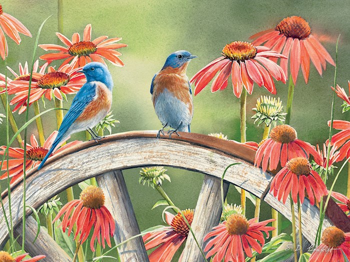 Jigsaw Puzzle-Hiding In Plain Sight (500 Pieces) | SHOPtheWORD