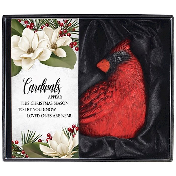 Gift Boxed Cardinal-Cardinals Appear (3.5 x 3) | SHOPtheWORD