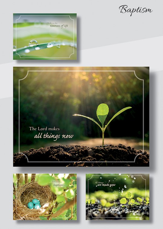 Card-Boxed-Baptism-New Life (Box Of 12) | SHOPtheWORD